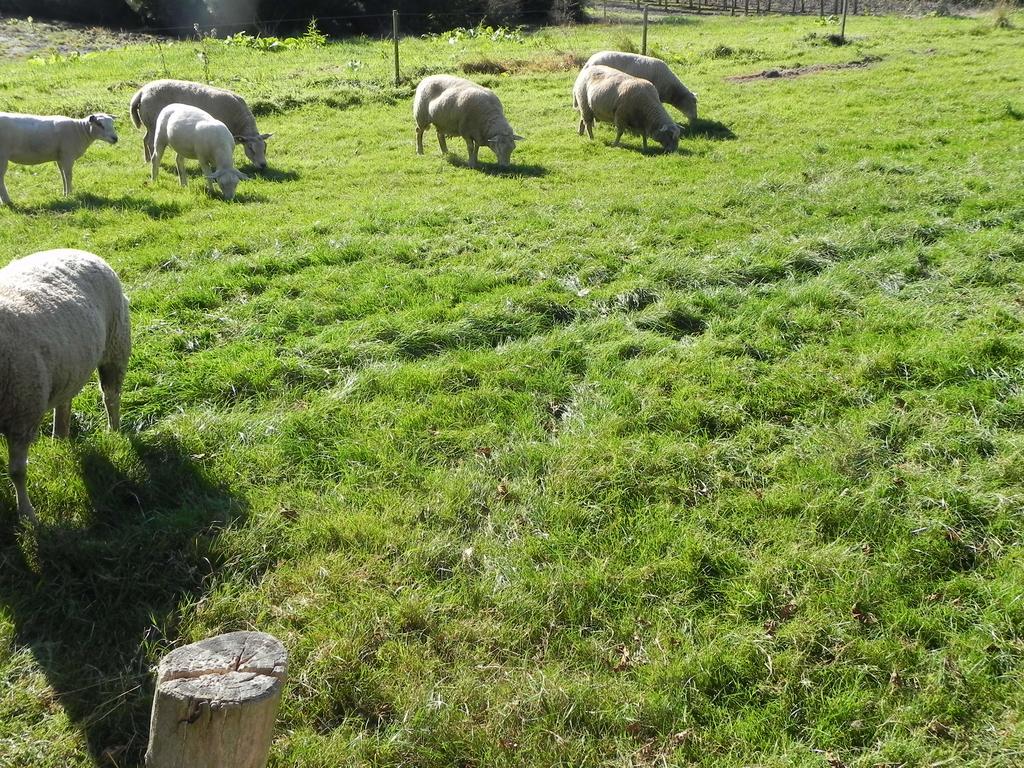 Hoeve De Mertel Biezenmortel 외부 사진