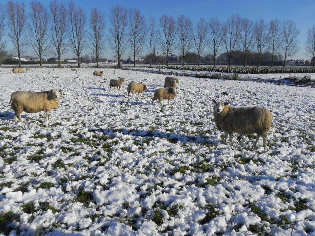 Hoeve De Mertel Biezenmortel 외부 사진